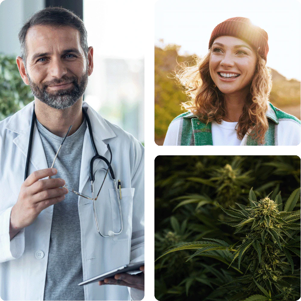 Medizinisches Cannabis einfach online beantragen